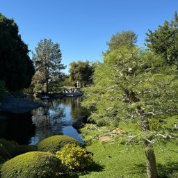 Phoenix in Photos Part 1:  Japanese Friendship Garden