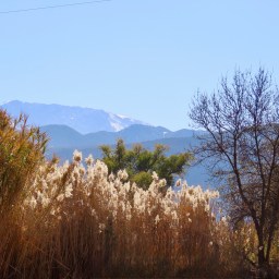 Between Peaks and Pouring Tea: Stories from Morocco’s High Atlas Villages