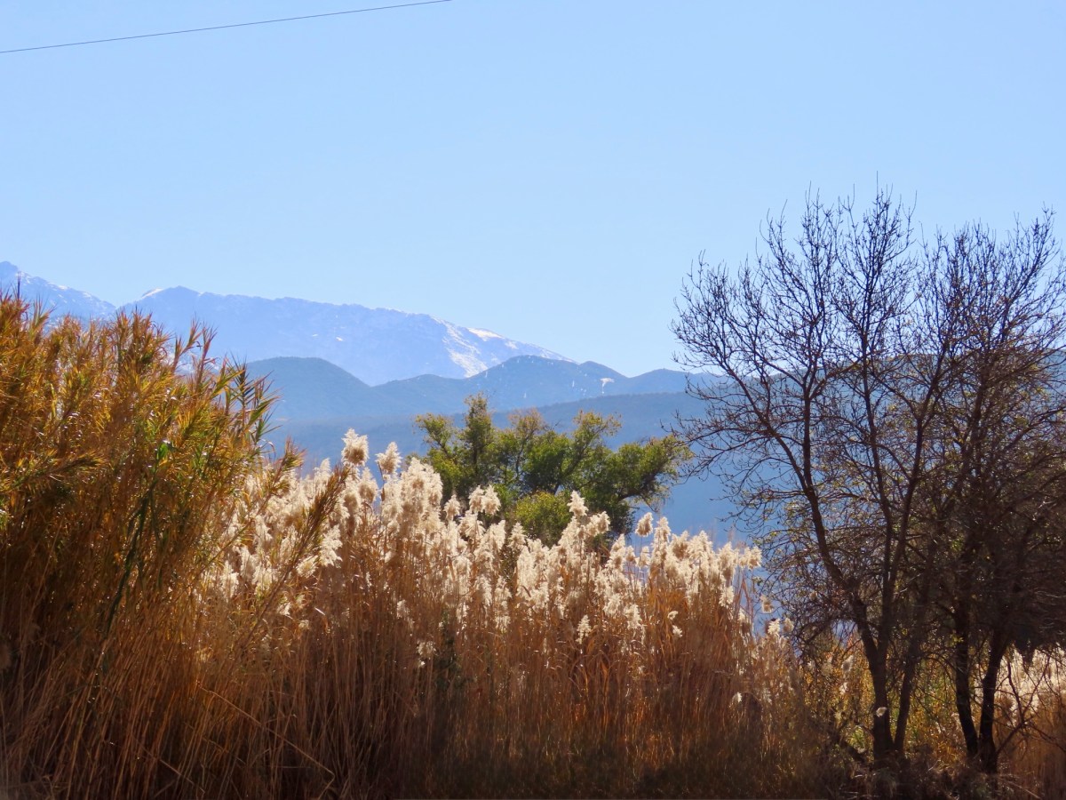 Between Peaks and Pouring Tea: Stories from Morocco’s High Atlas Villages