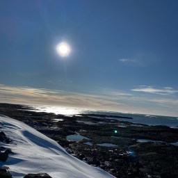 In Iceland as the World Began to Close