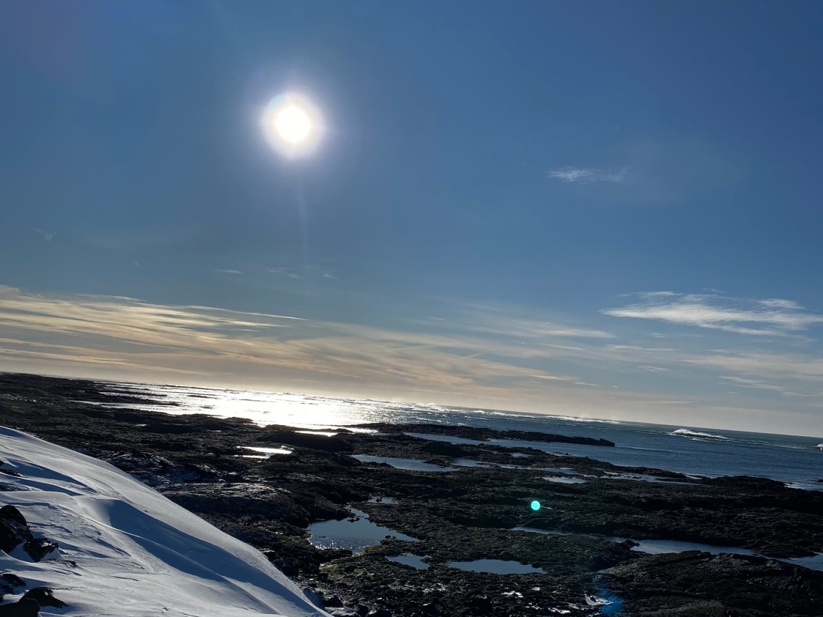 In Iceland as the World Began to Close